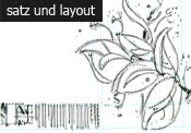 satzundlayout